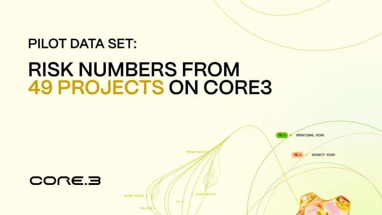 State of digital assets risk: What we learned by measuring what nobody else does